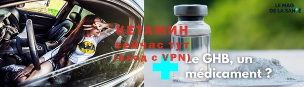 индика Новозыбков