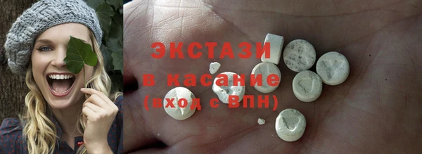 индика Новозыбков