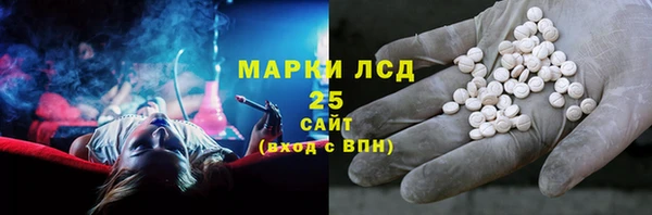 индика Новозыбков