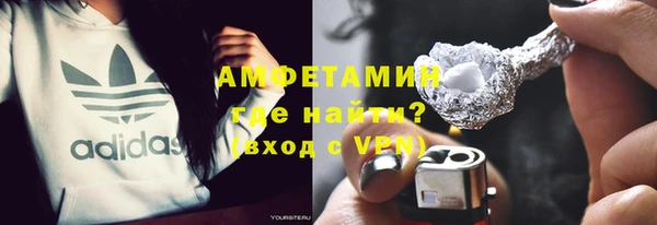 индика Новозыбков