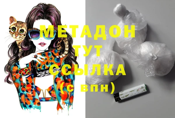 индика Новозыбков