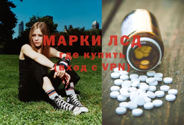 apvp Нея