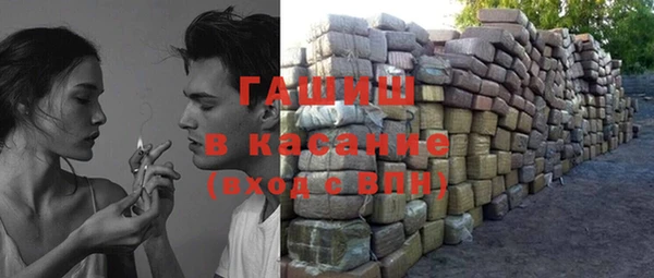 индика Новозыбков