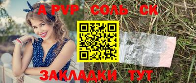 спиды Гатчина
