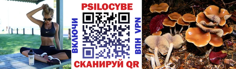 Галлюциногенные грибы GOLDEN TEACHER  Кропоткин 