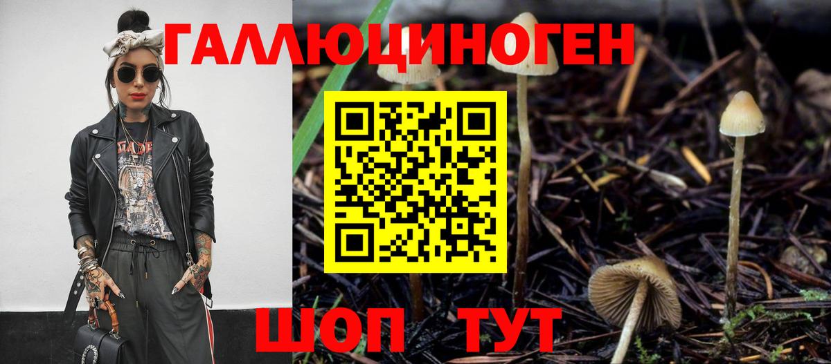 Галлюциногенные грибы мицелий Кропоткин