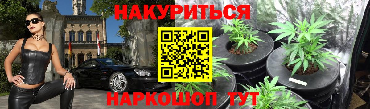 Бошки Шишки гибрид Кропоткин